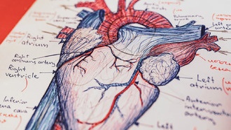 Российские ученые разработали метод пересадки сердца без его остановки