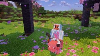 Minecraft и Swarovski представили один из самых дорогих скинов в истории игр