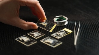 11 000-летний пир: охотники переносили диких кабанов через горы для ритуальных праздников