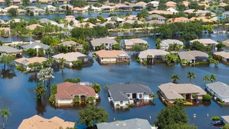 Вырубка лесов увеличивает частоту катастрофических наводнений в 18 раз