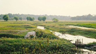 Землетрясение в Мьянме: разрыв разлома превысил скорость сейсмических волн