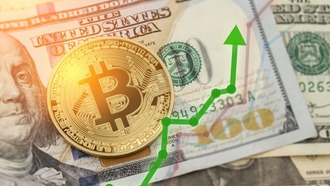 Криптокит продал биткоины, купленные за $54 000, за $9,5 млрд