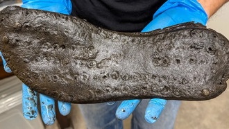 У стены Адриана обнаружены гигантские римские ботинки — но это не значит, что у римлян были огромные ноги