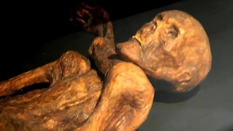 Исследование ДНК раскрывает уникальное происхождение Эци и генетическое наследие Альп