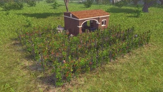 Pompeii: The Legacy выйдет в ранний доступ 16 сентября 2025 года