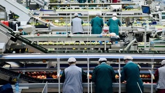 ИИ к 2030 году заменит 92 миллиона рабочих мест, а компании скрывают автоматизацию