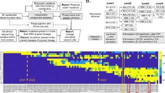 ИИ поможет обнаруживать новые вирусы в сточных водах до появления симптомов у пациентов