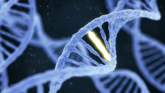 Учёные обнаружили скрытый код в ДНК человека: древние вирусы управляют генами