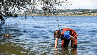 Пресные и прибрежные воды играют ключевую роль в глобальном круговороте азота