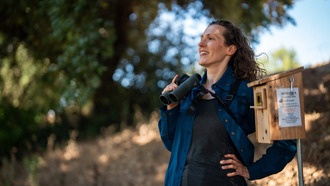 Исследование: пение самок птиц помогает найти «хороших отцов»