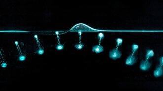 Учёные раскрыли тайну «отскока» водяных колец