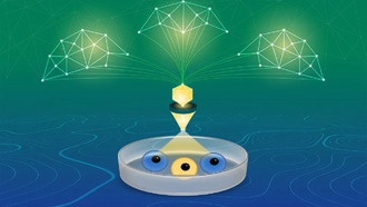 CORNETO: новый инструмент машинного обучения для анализа сложных биологических данных