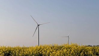 Франция вдвое увеличила ограничения на возобновляемую энергию из-за дисбаланса спроса и предложения