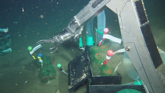 Новый биопластик LAHB разлагается в океане, теряя 80% массы за 13 месяцев