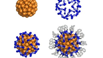 Золотые нанокластеры имитируют свойства атомного спина для квантовых вычислений