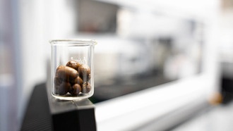 Кофеин снижает эффективность антибиотиков против бактерий, показало исследование