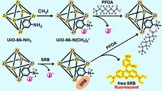Новый материал эффективно удаляет «вечные химикаты» из воды
