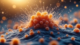 Влажная уборка не избавит от аллергии на пыль, но может помочь