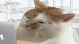 Обязательно ли переходить на Windows 11? Три причины, почему это «испытание»