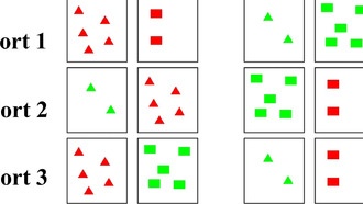 Исследование: «исполнительные функции» мозга зависят от школьного образования, а не врождённых способностей
