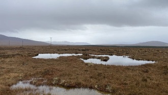 Здоровые европейские торфяники требуют особых температурных и водных условий