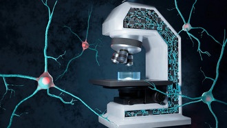 Искусственный интеллект в микроскопии предсказывает образование белковых агрегатов, связанных с болезнями мозга