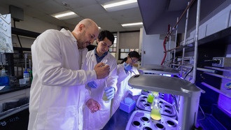 Наноматериалы увеличили производство биотоплива из микроводорослей