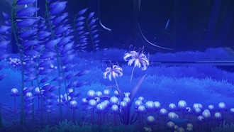 Где найти и как фармить Afterlife в Wuthering Waves