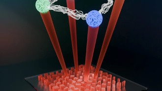 Метаповерхности могут стать новыми процессорами для квантовых вычислений