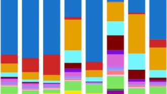 Новый инструмент PEtracer отслеживает рост опухолей в пространстве и времени