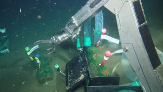 Новый биоразлагаемый пластик разлагается в глубинах океана благодаря микробам