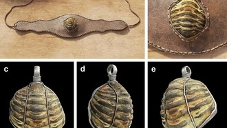 Уникальный амулет из трилобита обнаружен на римском участке в Испании