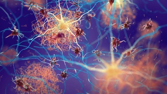 Учёные обнаружили рецептор, помогающий мозгу очищаться и бороться с болезнью Альцгеймера