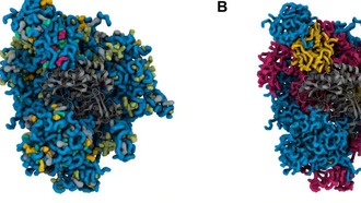 Автономная платформа MIT ускоряет поиск оптимальных полимерных смесей