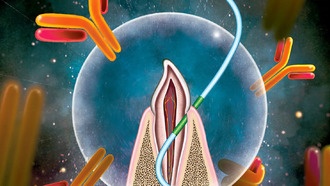 Будущие вакцины могут вводить через зубную нить