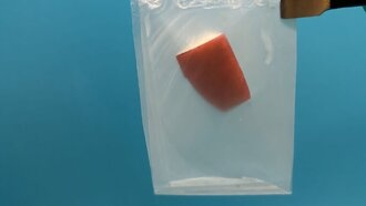 Учёные создали биоразлагаемый пластик, вдохновившись листьями растений