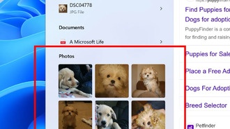 Windows 11 получила новую функцию поиска изображений