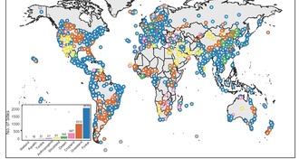 Глобальные базы данных раскрывают, как климат влияет на свойства почвенных грибов