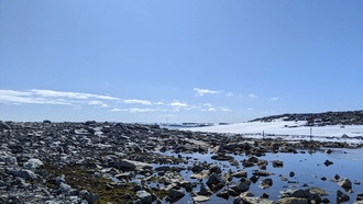 Новая система дистанционного зондирования детально картографирует растительность Антарктиды