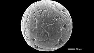 Учёные воссоздали историю атмосферы Земли с помощью космической пыли