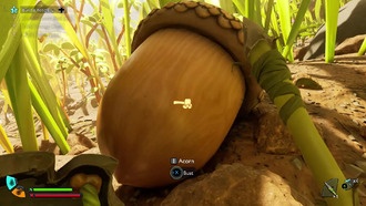 Где найти желуди в Grounded 2