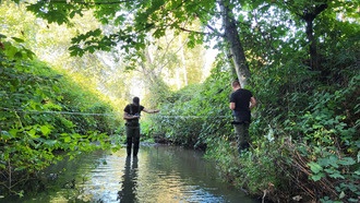 Учёные предложили глобальный план борьбы с токсичным загрязнением от автомобильных шин