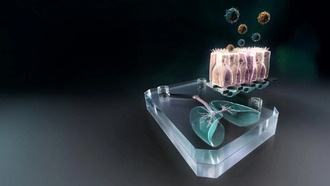 Микрочип-лёгкое поможет предсказать и победить следующую пандемию