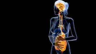 Тайные последствия пандемии: рост расстройств кишечника и мозга