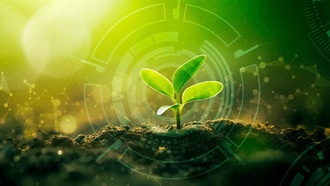 Искусственный интеллект усиливает иммунитет растений для борьбы с опасными бактериями