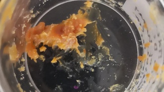 Учёные подтвердили, что в древнегреческом храме нашли 2500-летний мёд