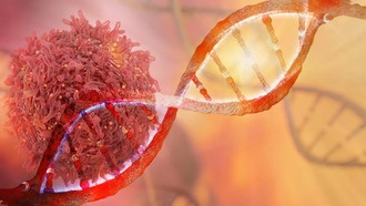 Ученые нашли способ заставить раковые клетки самоуничтожаться