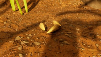 Где найти семена травы в Grounded 2