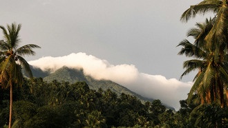 Тропические регионы могут столкнуться с беспрецедентными засухами из-за замедления атлантического течения