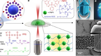 Программируемые наносферы раскрывают 500-миллионолетние секреты природы